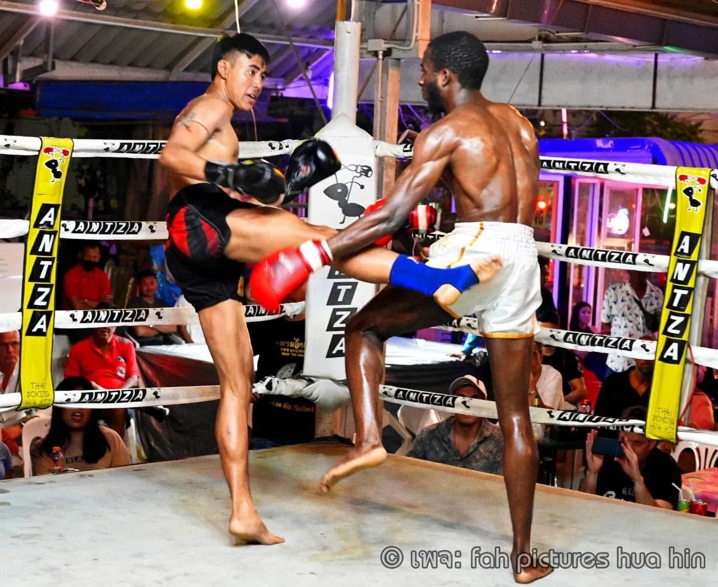 Antza Boxing Stadium photo 2